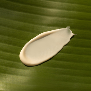 Everyday Body Lotion