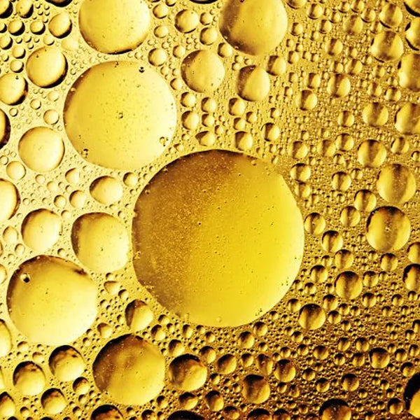 PHOSPHOLIPIDS & SPHINGOLIPIDS