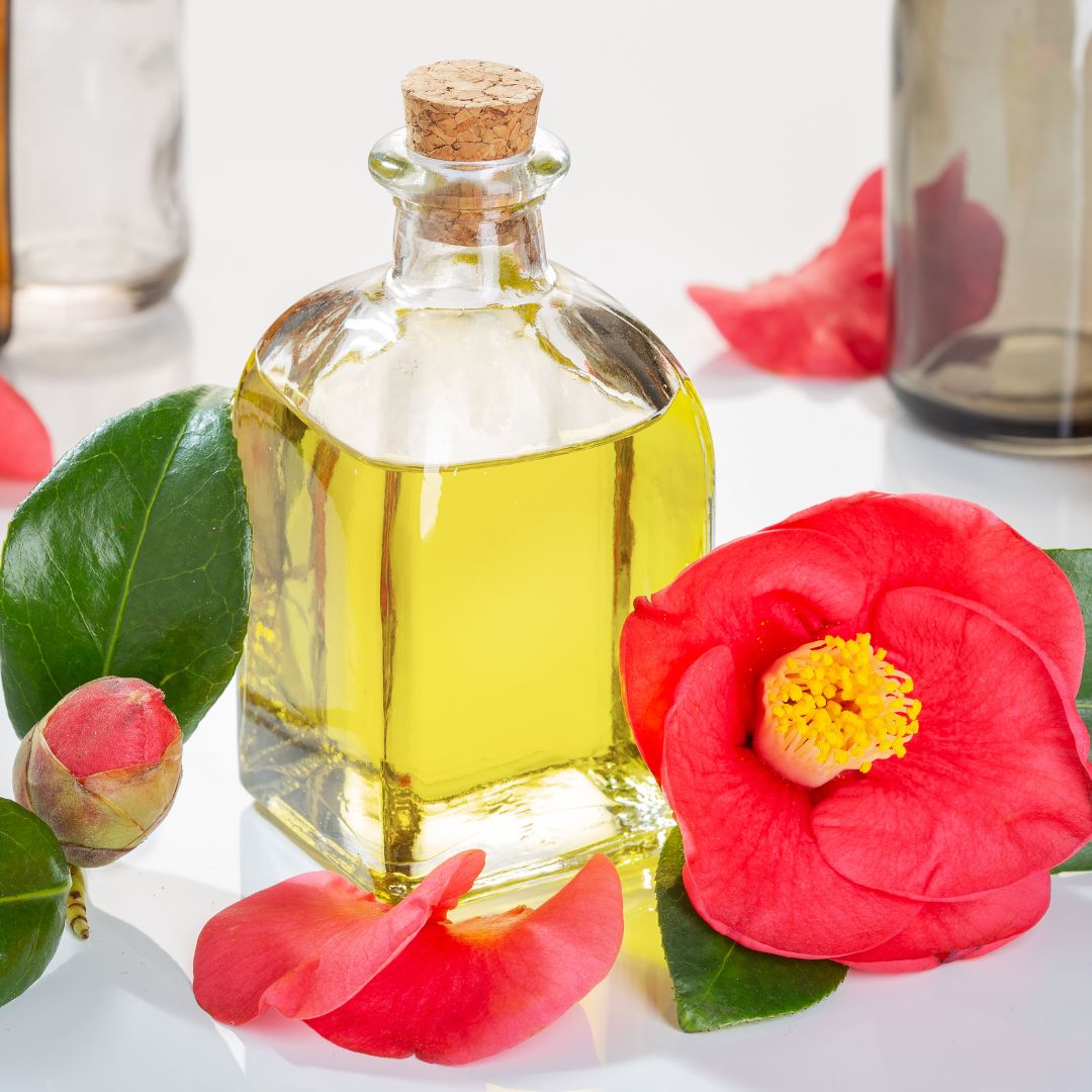 Camellia Seed Oil-image